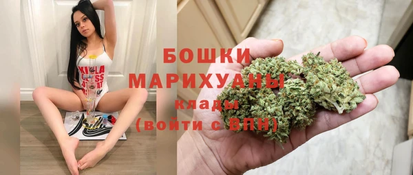 амф Билибино