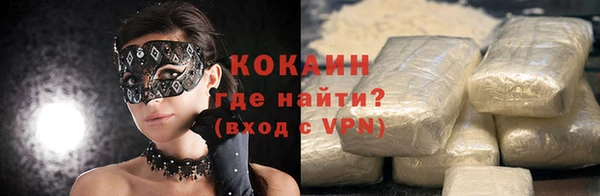 стаф Аркадак