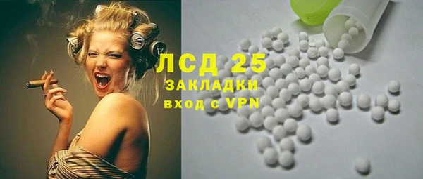 твердый Арсеньев