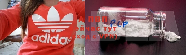 стаф Аркадак