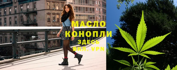 твердый Арсеньев