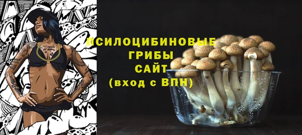 стаф Аркадак