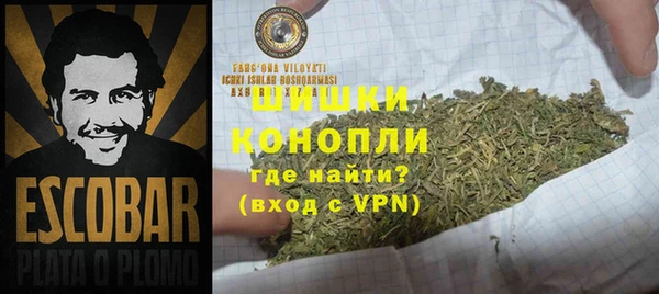 стаф Аркадак