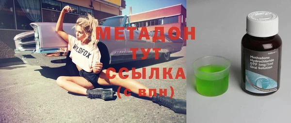 стаф Аркадак