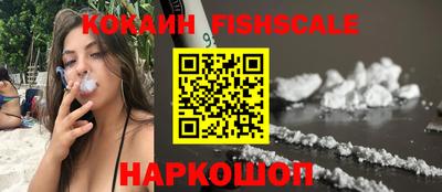 шишки Заволжье