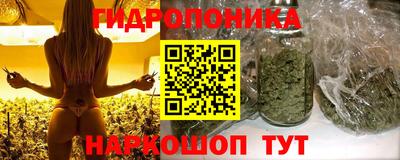 бошки Заводоуковск