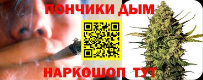 шишки Заволжье