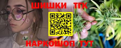 шишки Заволжье