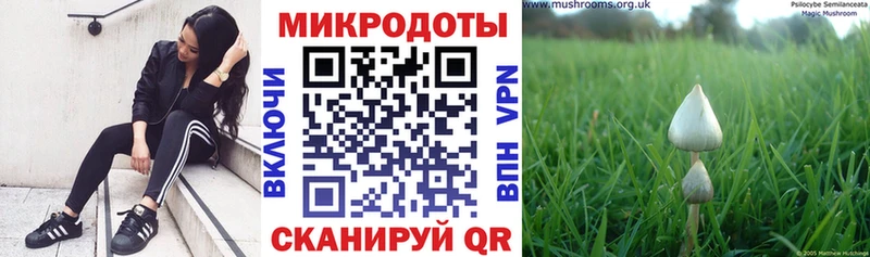 Галлюциногенные грибы Magic Shrooms  Лянтор 