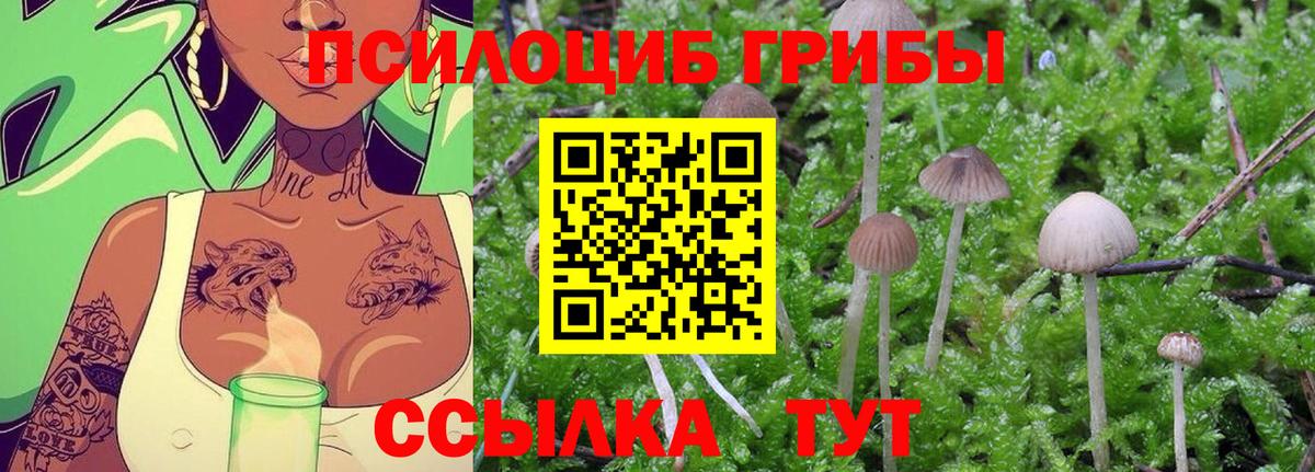 Галлюциногенные грибы Cubensis Лянтор